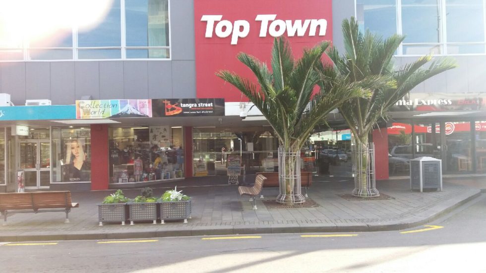 New Plymouth Workbridge